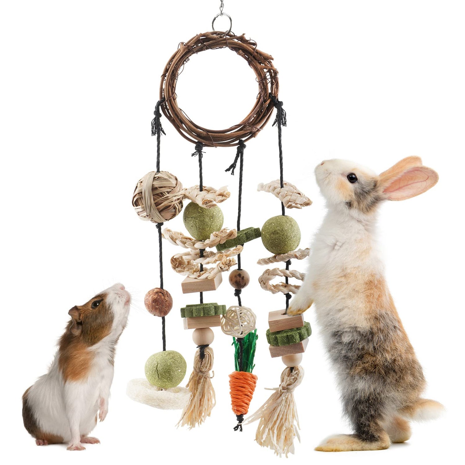 Other Pets