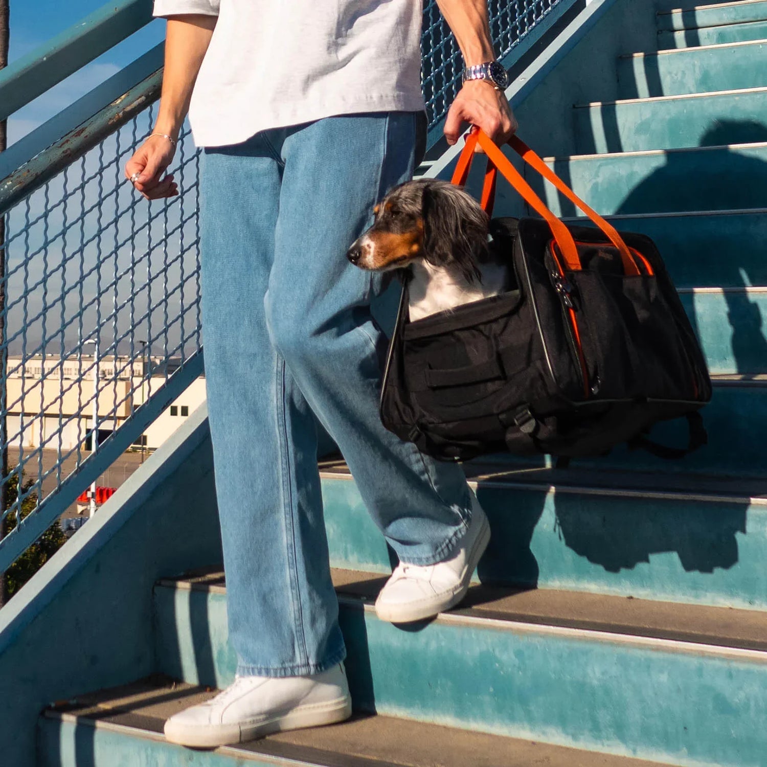 Travel Essentials
