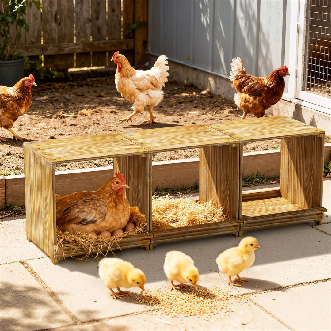 3-Compartment Pine Wood Chicken Nesting Box for Egg Laying Preventing Egg Falls Poultry Farming Accessory
