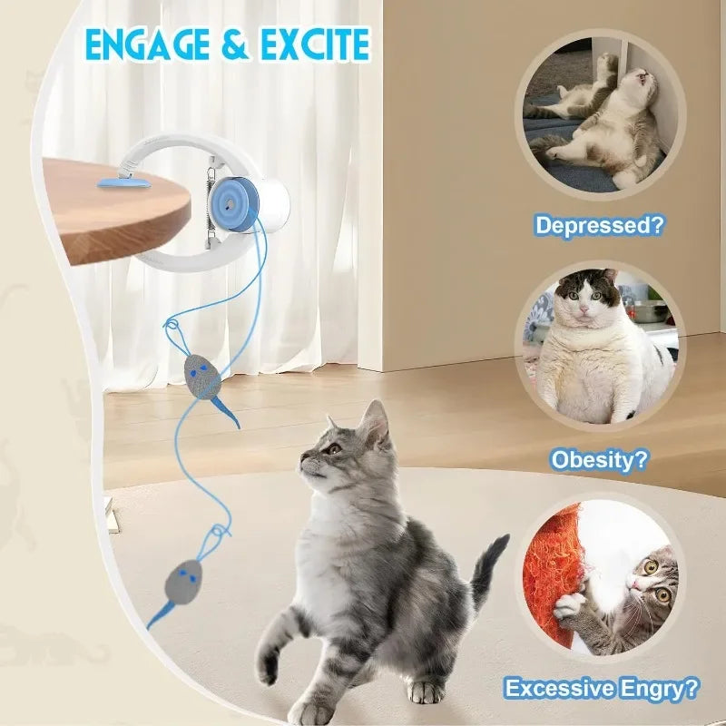 2026 USB Rechargeable Cat Toys Yo-Yo Electric Automatic Lifting Smart Door Hanging Automatic Kitten Self-entertainment Fun Pet