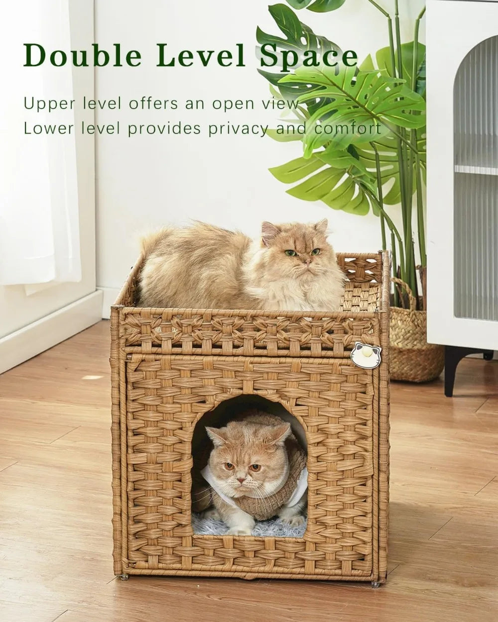 Double Cat Cave Bed for Indoor Cats, Handwoven Rattan Hideaway with Soft Cushions, Foldable, 18.5x20.5x19.1 inches, Natural