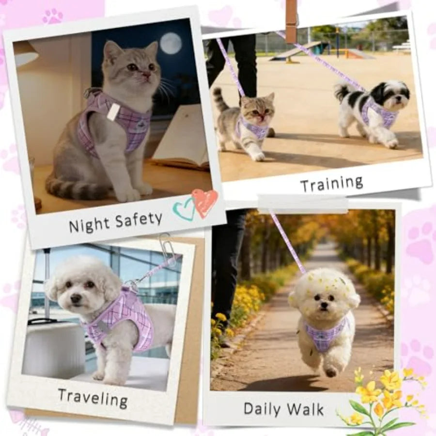 No Pull Dog Harness - 3-in-1 Step in Harness Collar Leash Set for Small Dog Walking and Training, Easy Walk Style, Lightweight