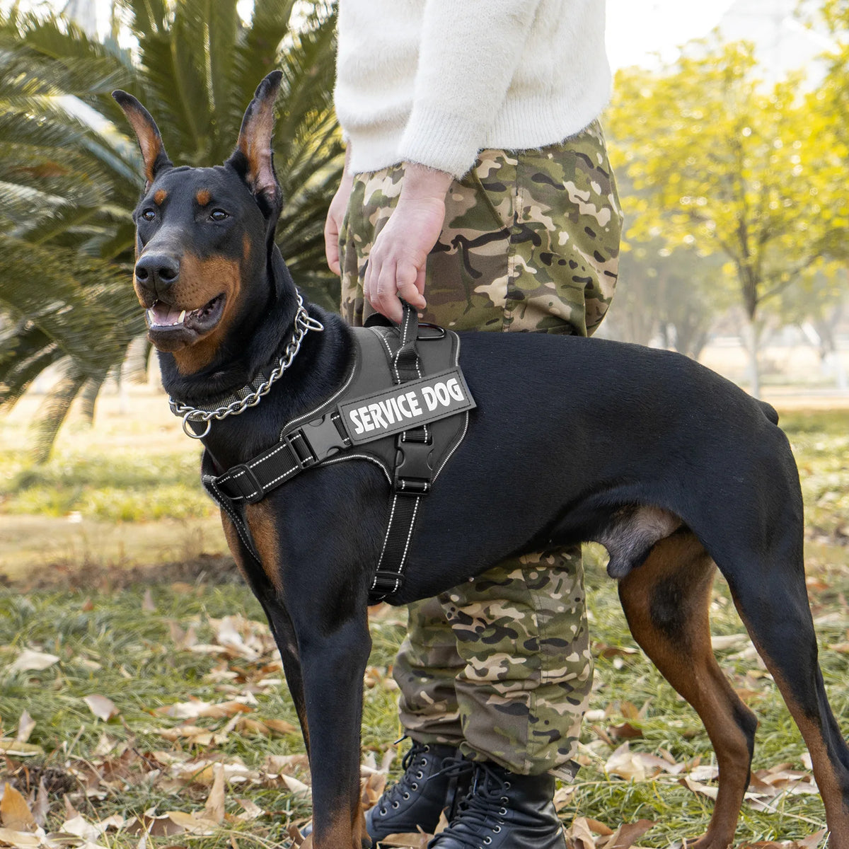 Personalized Dog Harness Custom Name Tag Doberman Pinscher Breathable Adjustable Pet Harness Suitable for Medium and Large Dogs