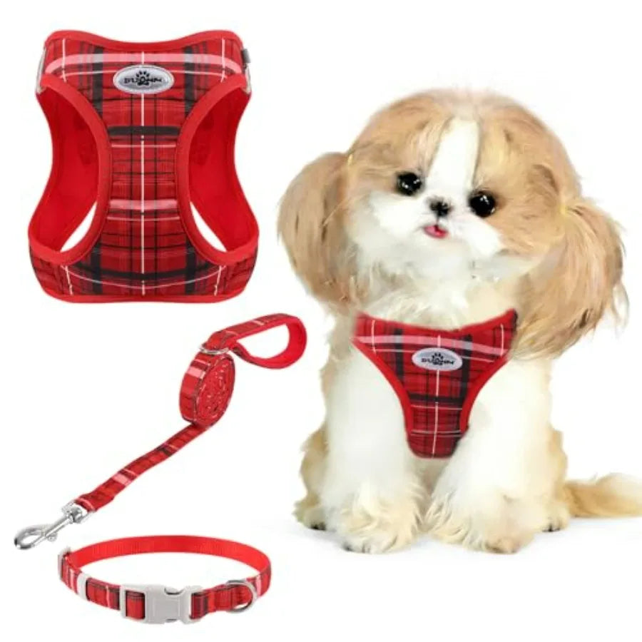 No Pull Dog Harness - 3-in-1 Step in Harness Collar Leash Set for Small Dog Walking and Training, Easy Walk Style, Lightweight