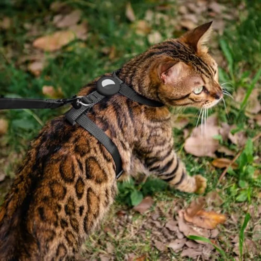 Cat Harness and Leash Set with Airtag Holder for Walking and Travelling, Escape Proof Cat Harness for Small Medium Large Kitten