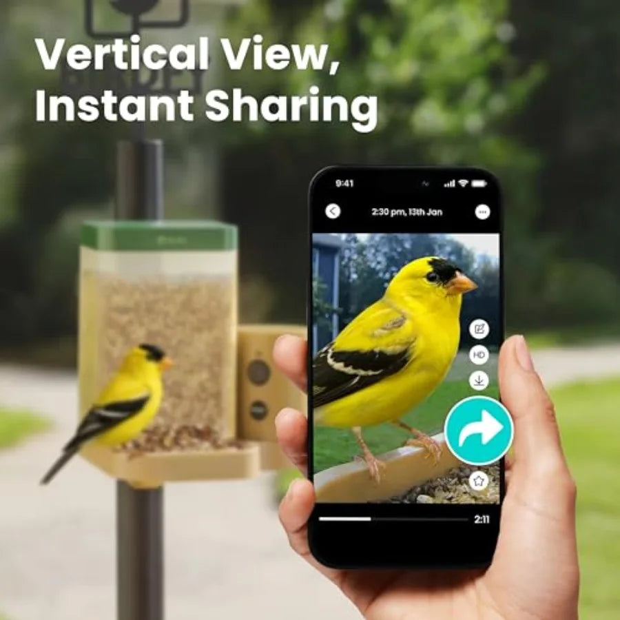 Smart Bird Feeder with Camera for Rookie, Camera Bird Feeder Dual Night Vision, AI Recognition IP66 Waterproof for BirdLovers