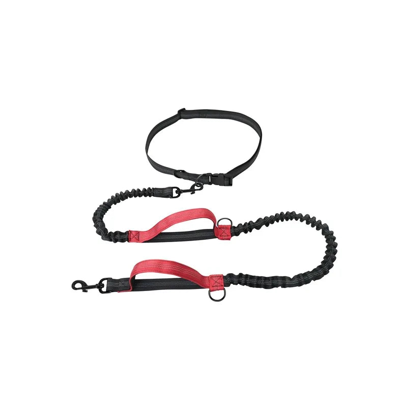 Pet Retractable Belt Leash For Running Reflective Retractable Hand Free Dog Leash with Adjustable Waist Rope For Outdoor Running