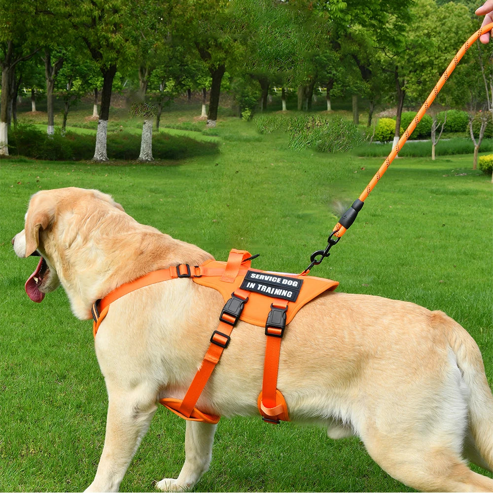 Service Dog Vest No Pull Dog Harness with 4 Dog Patches, Reflective Pet Harness with Durable Soft Padded Handle for Training Med