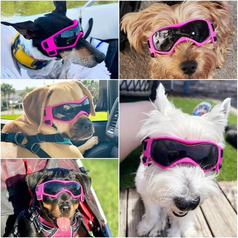 LETVIA Pet Glasses Uv-protective Goggles for Dogs Traveling Outdoors Soft-framed Pet Windproof Anti-fog Sunglasses Pet Supplies