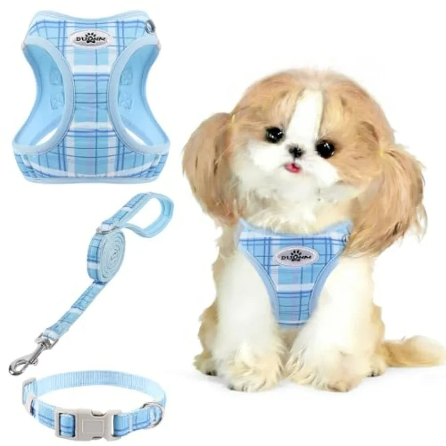 No Pull Dog Harness - 3-in-1 Step in Harness Collar Leash Set for Small Dog Walking and Training, Easy Walk Style, Lightweight