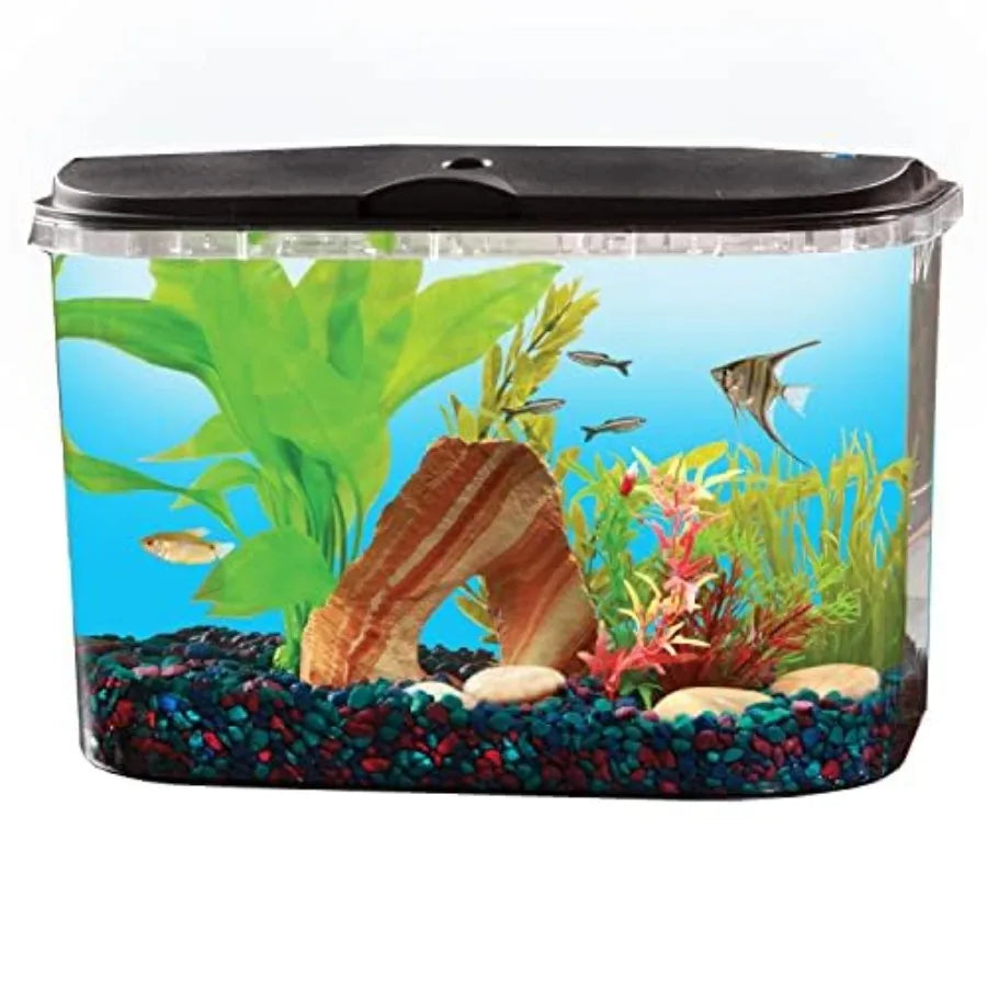 5-Gallon Aquarium Kit with LED Lighting and Power Filter, Ideal for a Variety of Tropical Fish