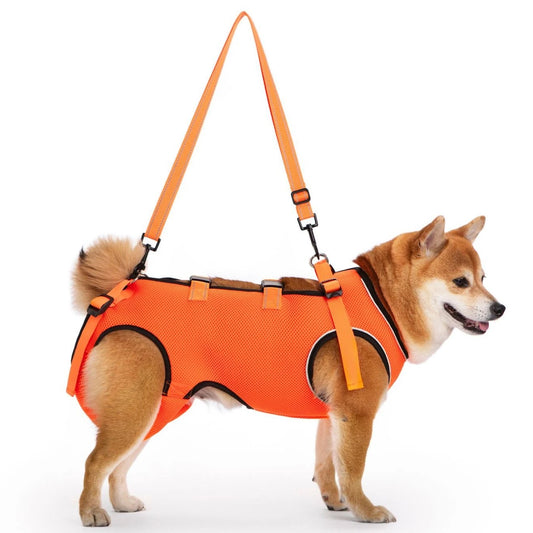 Summer Dog Lift Harness,Dog Assistance Strap,Adjustable Pet Support & Rehabilitation Sling Lift,for Joint Injuries,Disabled Dogs