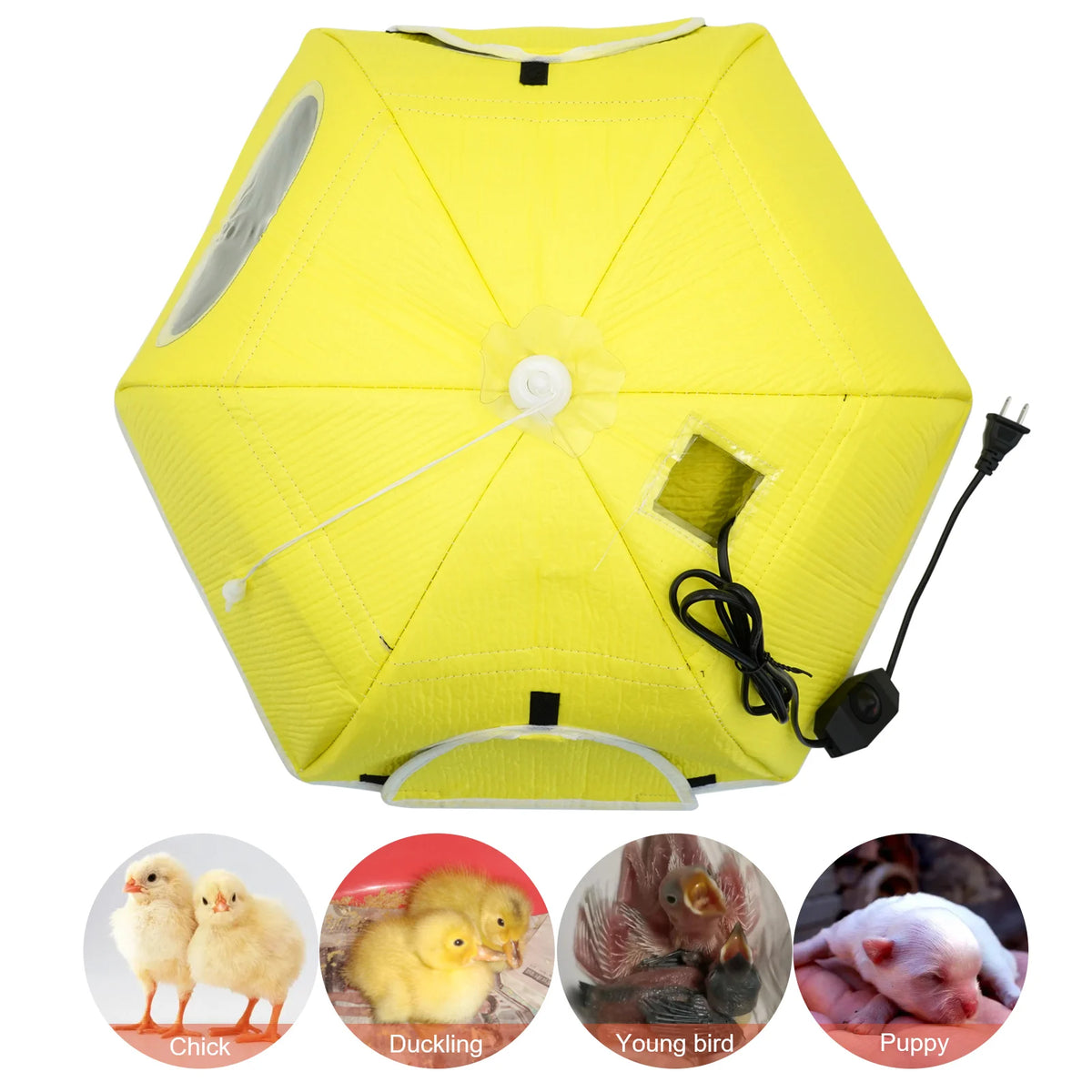 Electric Chick Brooder Heating Cover Chick Cage Heater Chicken Warmer Easy To Install Convenient Time-saving 110V/220V Pet Tools