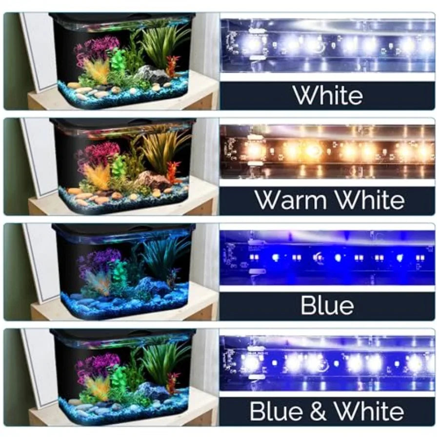 5-Gallon Aquarium Kit with LED Lighting and Power Filter, Ideal for a Variety of Tropical Fish