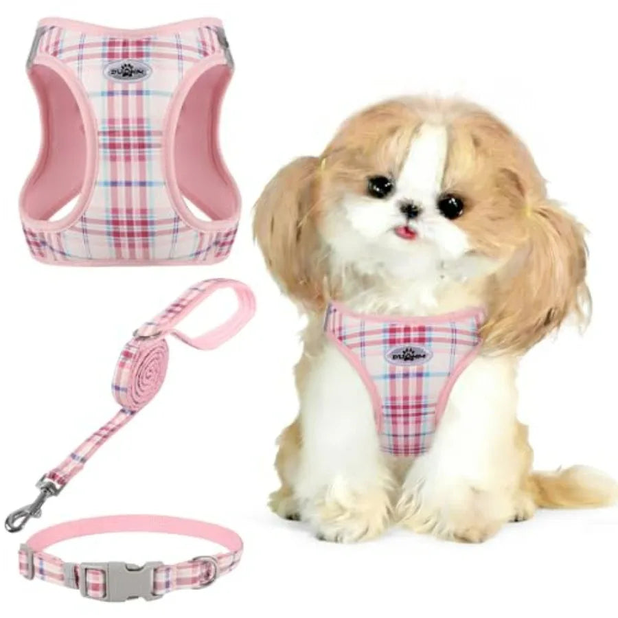 No Pull Dog Harness - 3-in-1 Step in Harness Collar Leash Set for Small Dog Walking and Training, Easy Walk Style, Lightweight