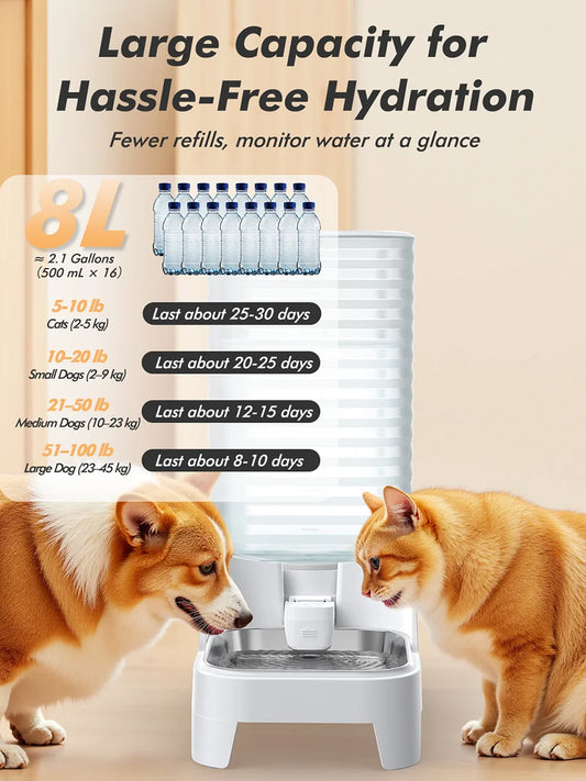 Furpipi 8L Large Capacity Automatic Pet Feeder & Water Dispenser Gravity Pet Feeding StationStainless Steel Pet Waterer for Pets