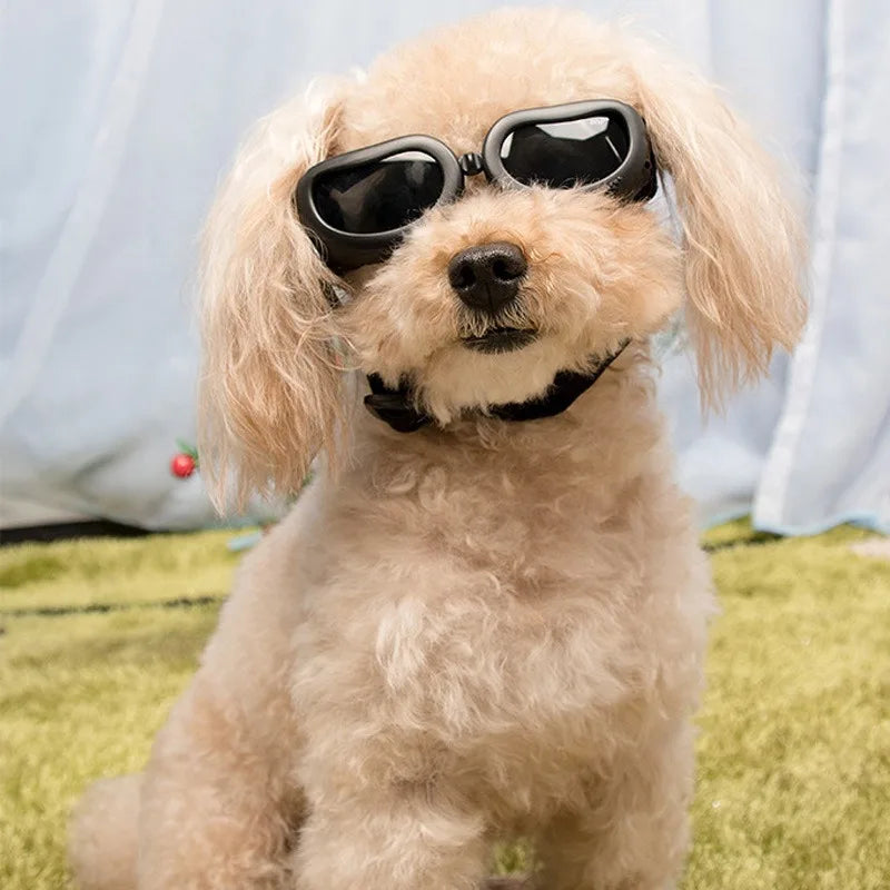 Pet Supplies Fashionable Cats Dogs Sunglasses Windproof Dustproof Pet Goggles Outdoor Travel Uv-protective Glasses Summer