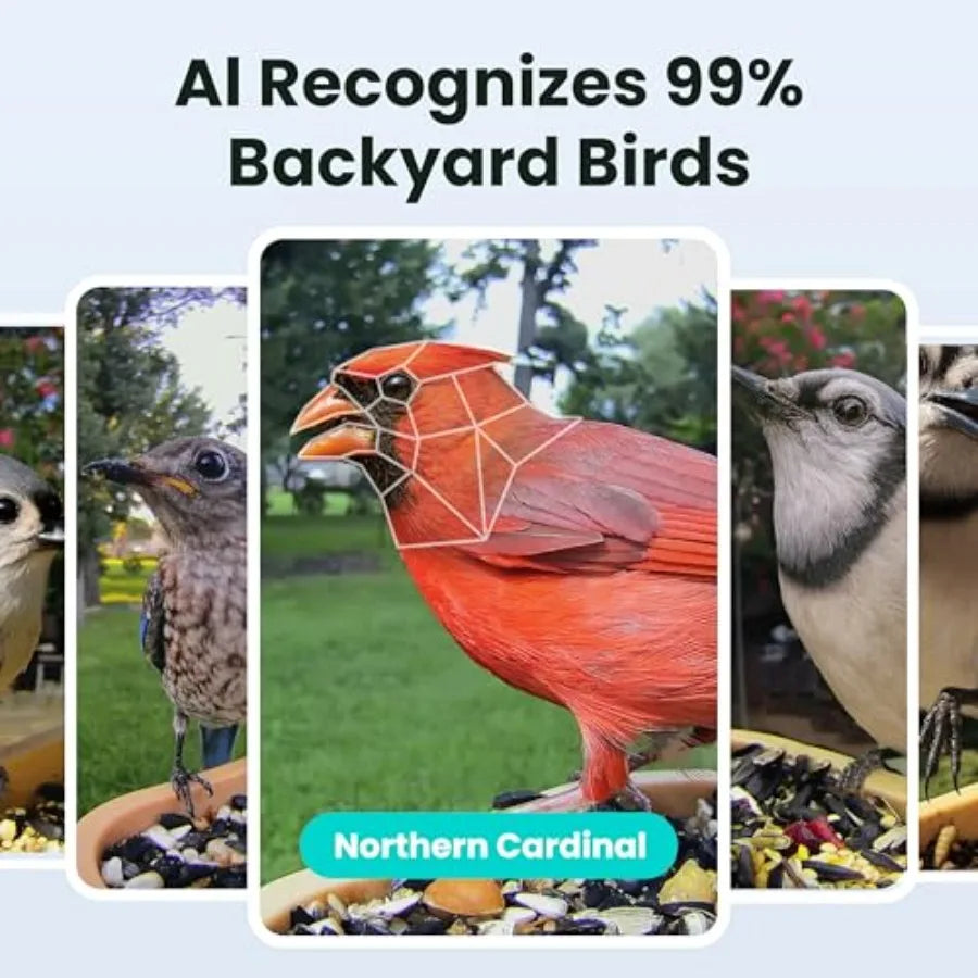 Smart Bird Feeder with Camera for Rookie, Camera Bird Feeder Dual Night Vision, AI Recognition IP66 Waterproof for BirdLovers