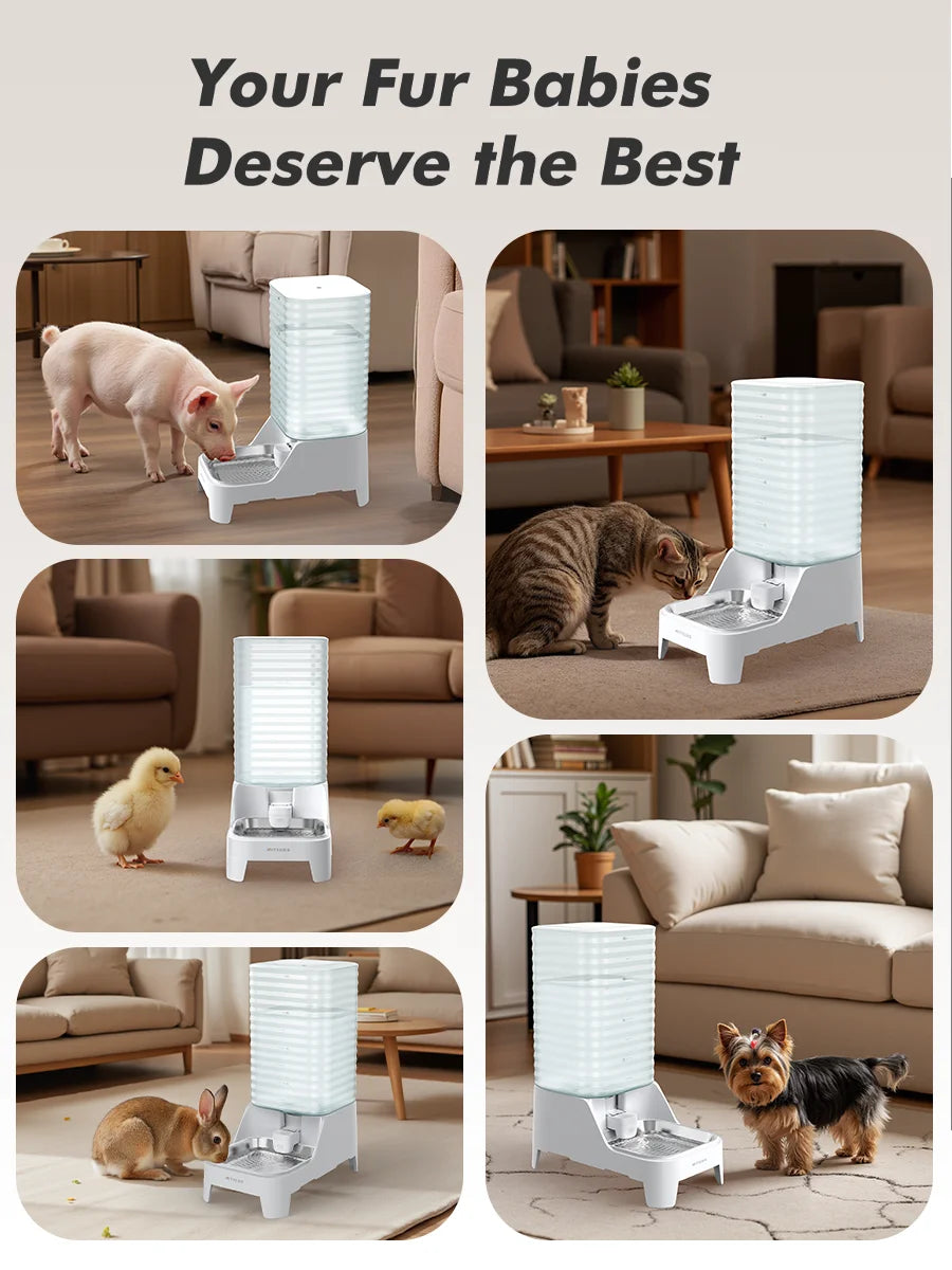 Furpipi 8L Large Capacity Automatic Pet Feeder & Water Dispenser Gravity Pet Feeding StationStainless Steel Pet Waterer for Pets
