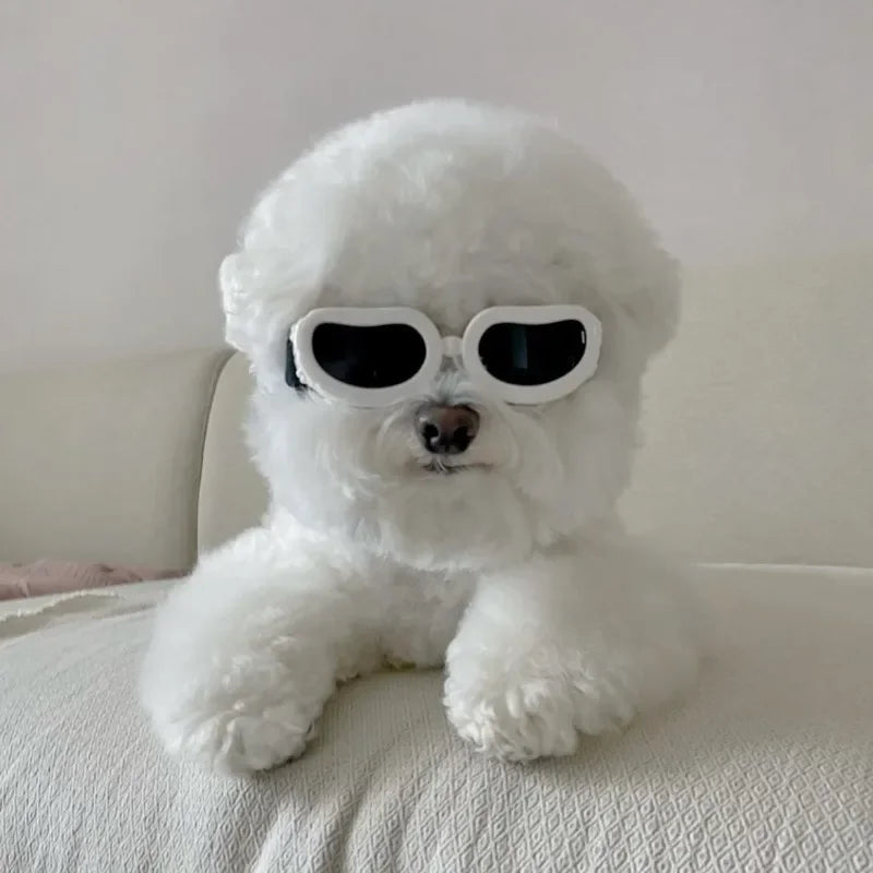 Pet Supplies Fashionable Cats Dogs Sunglasses Windproof Dustproof Pet Goggles Outdoor Travel Uv-protective Glasses Summer
