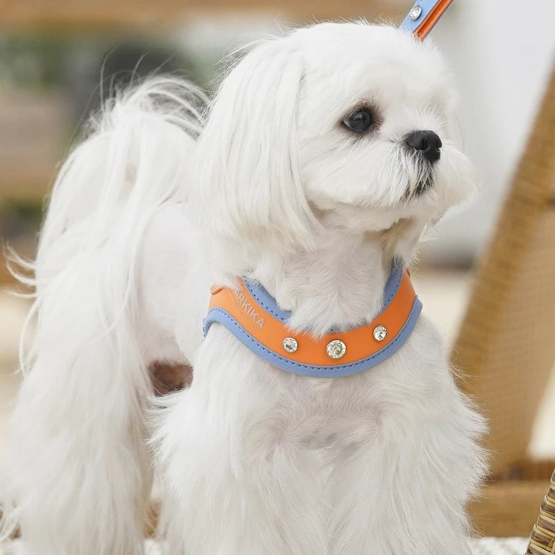 PU Leather Dog Cat Harness Vest and Leash Set Imitation Diamond Pet Harness Puppy Small Dog Cat Harness Pet Supplies Accessories
