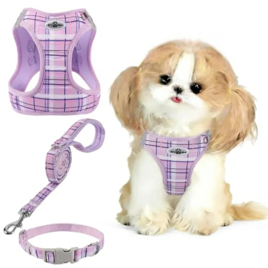 No Pull Dog Harness - 3-in-1 Step in Harness Collar Leash Set for Small Dog Walking and Training, Easy Walk Style, Lightweight