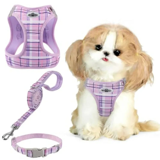 No Pull Dog Harness - 3-in-1 Step in Harness Collar Leash Set for Small Dog Walking and Training, Easy Walk Style, Lightweight