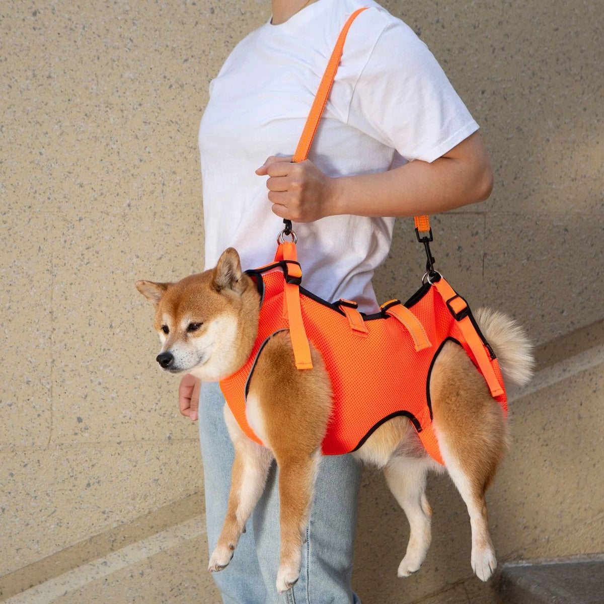Summer Dog Lift Harness,Dog Assistance Strap,Adjustable Pet Support & Rehabilitation Sling Lift,for Joint Injuries,Disabled Dogs