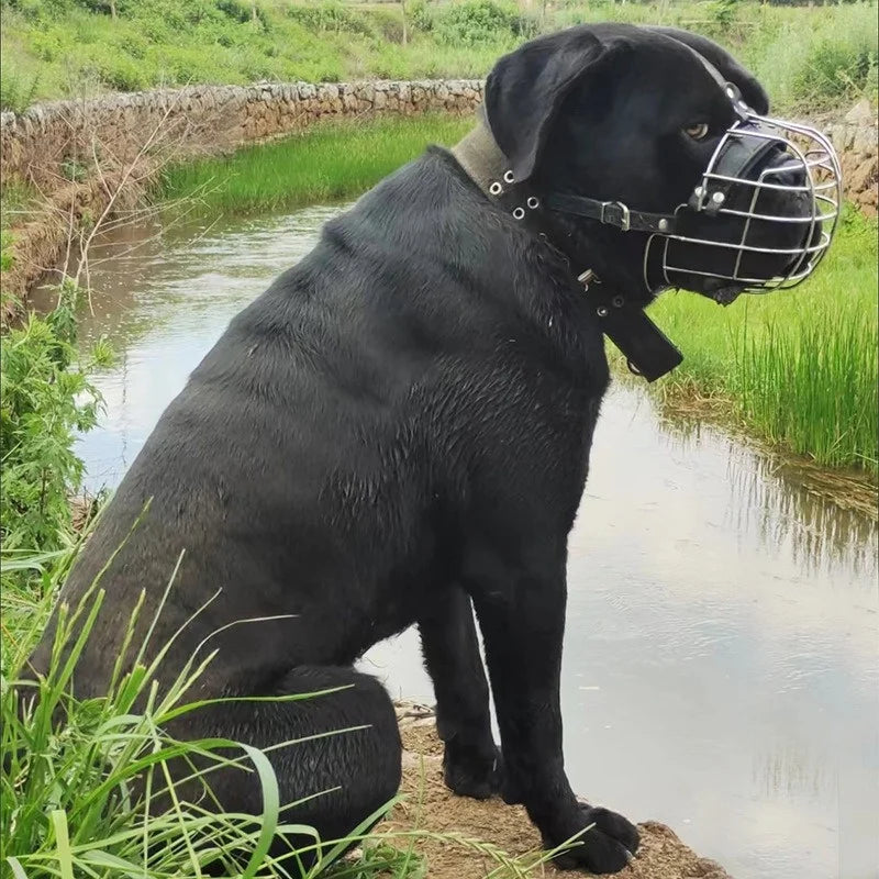Stainless Steel Dog Muzzle Anti-Biting Breathable Pet Mouth Mask Adjustable Protection Cover Dog Muzzle Accessories Pet Supplies