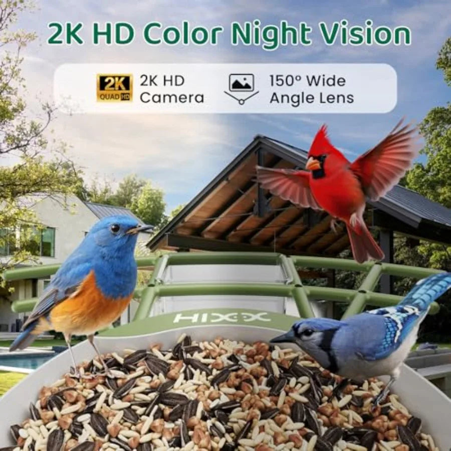 Smart Bird Feeder with Camera, AI Identify Birds and Auto Capture, 2K HD Live Camera Birdwatching with Color Night Vision for B