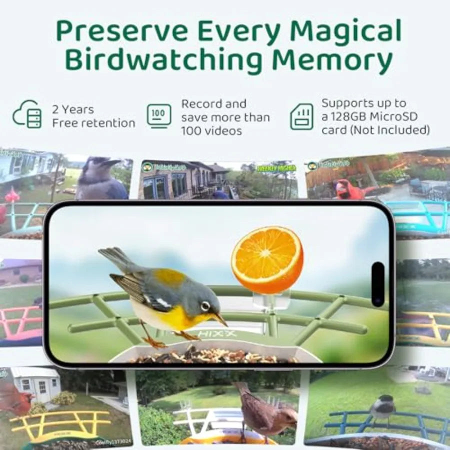 Smart Bird Feeder with Camera, AI Identify Birds and Auto Capture, 2K HD Live Camera Birdwatching with Color Night Vision for B
