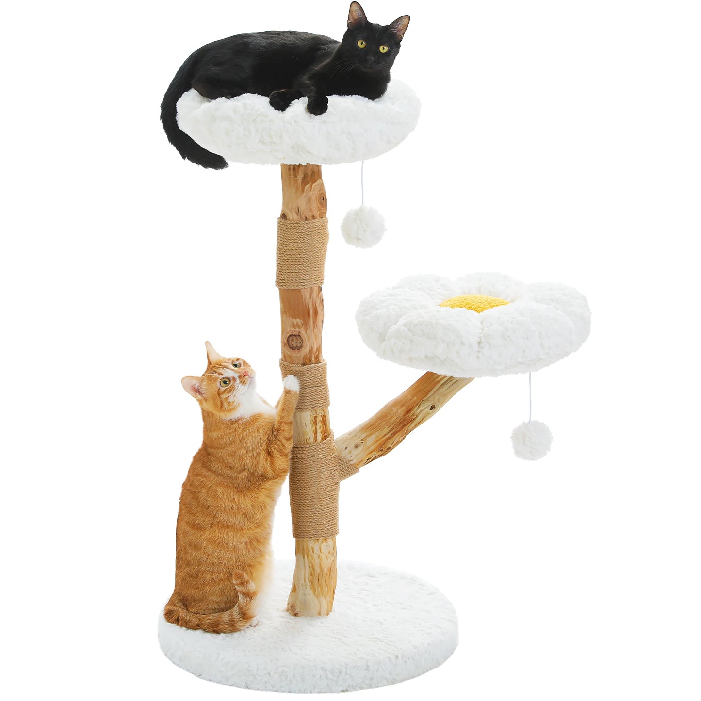 Wood Cat Tree with Wicker Basket Bed Sisal Scratching Posts Modern Cat Tower with Real Wood Branches Hanging Balls Luxury Boho Cat Furniture for Indoor Cat Toys
