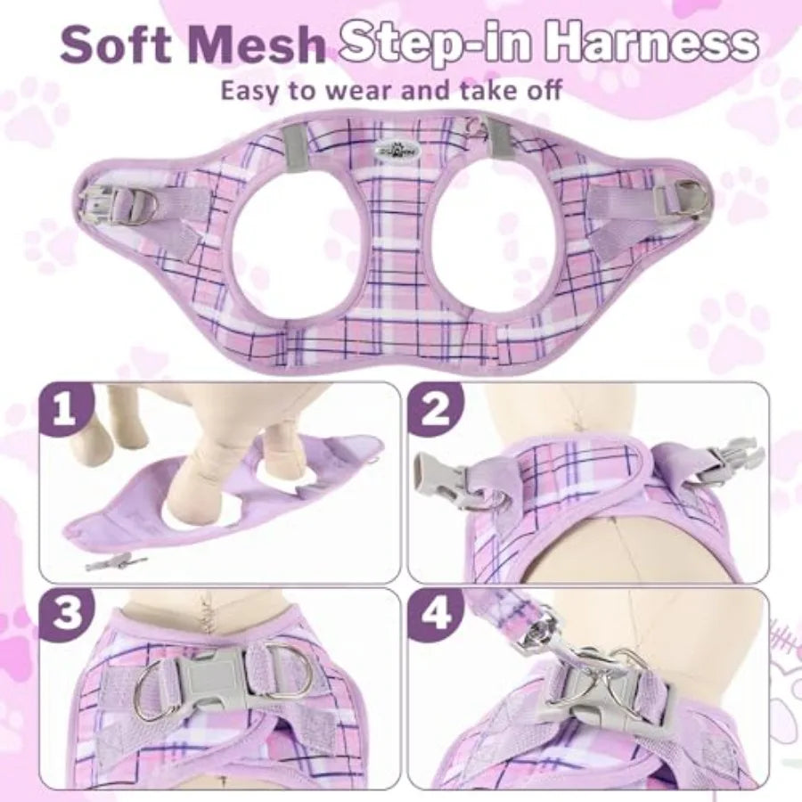 No Pull Dog Harness - 3-in-1 Step in Harness Collar Leash Set for Small Dog Walking and Training, Easy Walk Style, Lightweight