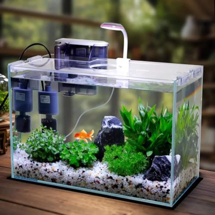 5 Gallon Glass Small Fish Tank with Filter Light and Lid, Betta Aquarium Starter Kits
