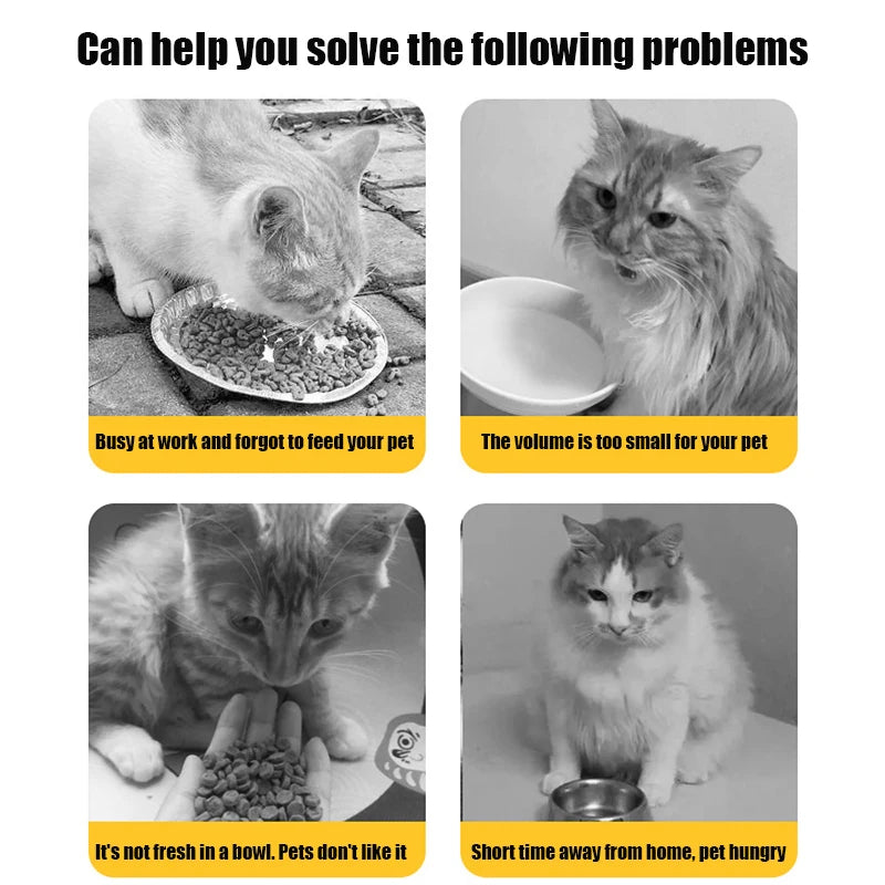 2/3.8L Pet Automatic Feeder Cat Water Dispenser Dog Automatic Feeder Cat Dog Water Dispenser Pet Bowl Combination Pet Supplies