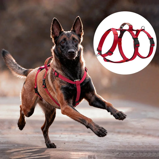 Escape-Proof Nylon Dog Harness with Handle Adjustable No-Pull Pet Harness for Medium Large Dogs Golden Retriever Husky Supplies