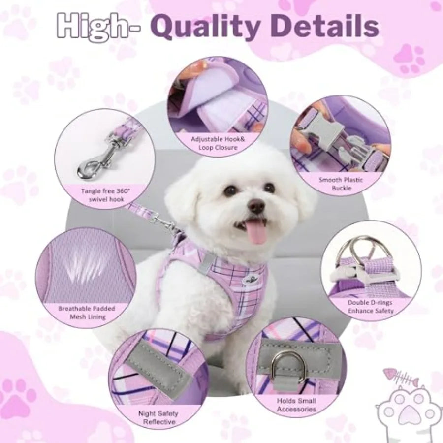 No Pull Dog Harness - 3-in-1 Step in Harness Collar Leash Set for Small Dog Walking and Training, Easy Walk Style, Lightweight