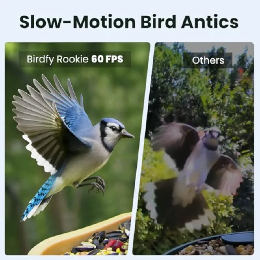 Smart Bird Feeder with Camera for Rookie, Camera Bird Feeder Dual Night Vision, AI Recognition IP66 Waterproof for BirdLovers