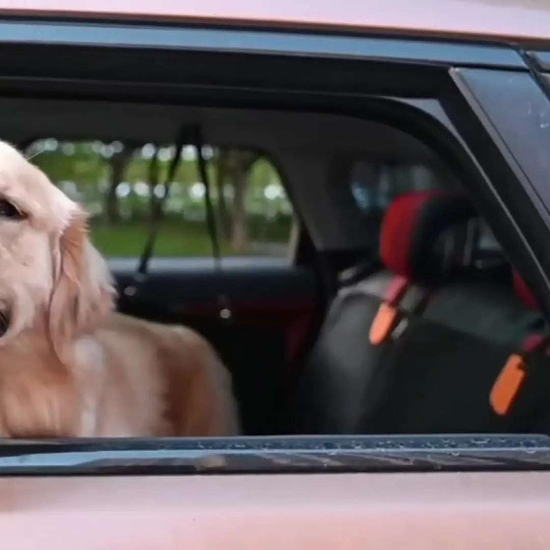 Pet car seat cushion rear seat dog car nest small medium large dog anti dirty car seat cushion isolation car cushion