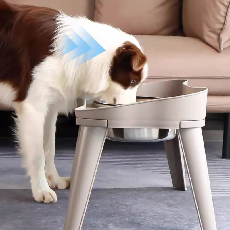 Stainless Steel Pet Bowl Dual Use Food And Water Dish for Dogs And Cats Dog Bowl with Cat Bowl Features Pet Supplies