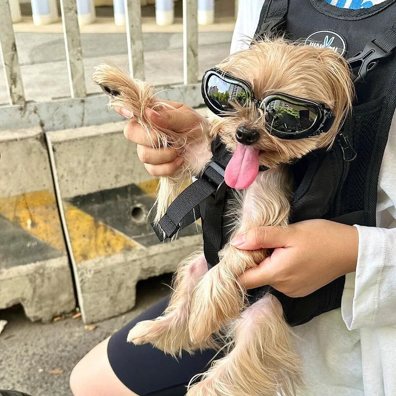 Pet Supplies Fashionable Cats Dogs Sunglasses Windproof Dustproof Pet Goggles Outdoor Travel Uv-protective Glasses Summer