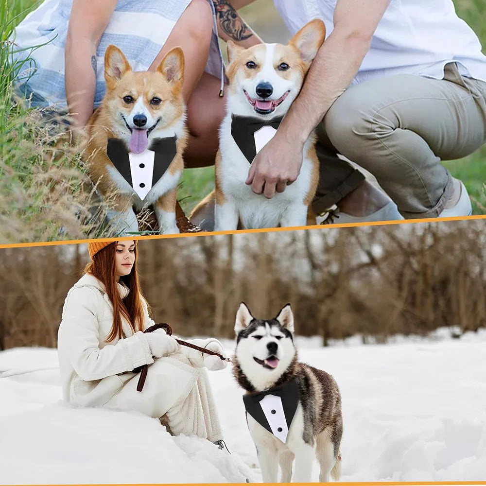 Dog Tuxedo Wedding Tux Suit Collar Dog Birthday Outfits Puppy Bandana with Bow Tie Collar for Medium and Large Dogs Pet Supplies