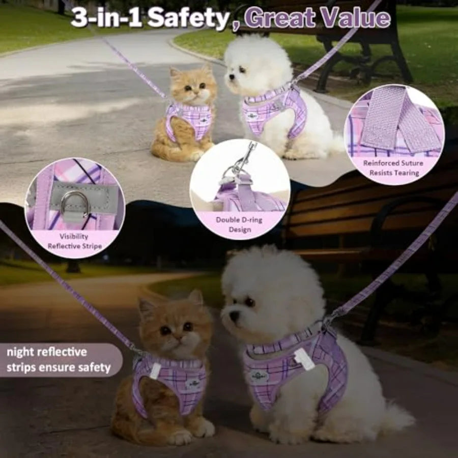 No Pull Dog Harness - 3-in-1 Step in Harness Collar Leash Set for Small Dog Walking and Training, Easy Walk Style, Lightweight