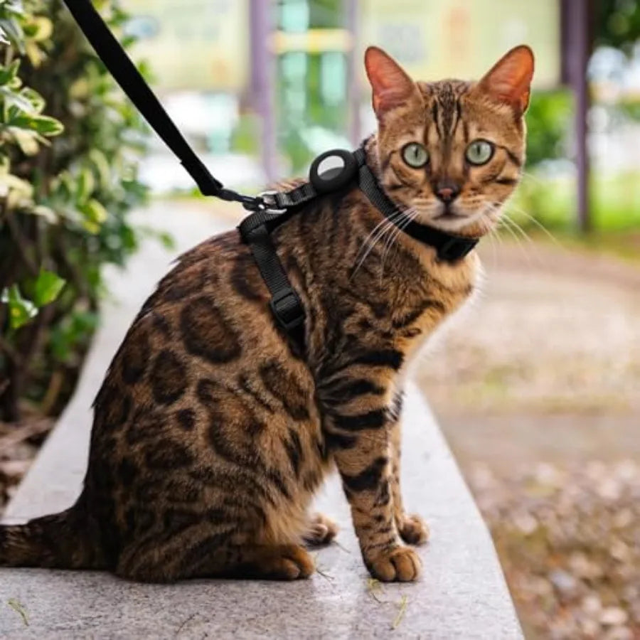 Cat Harness and Leash Set with Airtag Holder for Walking and Travelling, Escape Proof Cat Harness for Small Medium Large Kitten