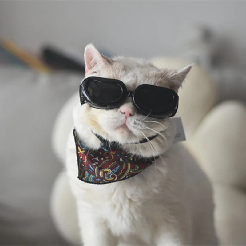 Pet Supplies Fashionable Cats Dogs Sunglasses Windproof Dustproof Pet Goggles Outdoor Travel Uv-protective Glasses Summer