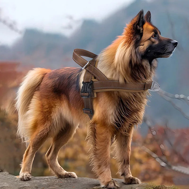 Escape-Proof Tactical Dog Harness with Soft Padded Durable Adjustable No Pull Easy Walking Training Large Dogs Vest Arnés Perro