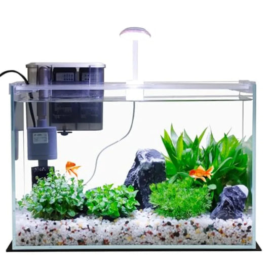 5 Gallon Glass Small Fish Tank with Filter Light and Lid, Betta Aquarium Starter Kits